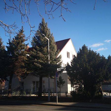 Bed and Breakfast Thomas Panzio Balatonfüred Esterno foto